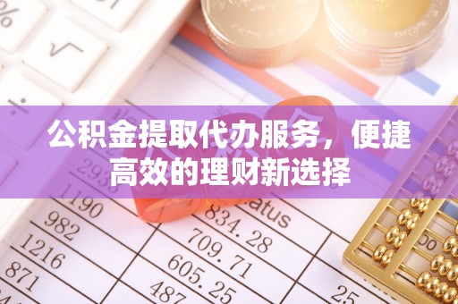 乐至公积金提取代办服务，便捷高效的理财新选择