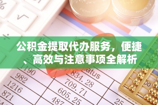 乐至公积金提取代办服务，便捷、高效与注意事项全解析