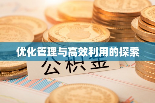 乐至优化管理与高效利用的探索