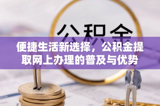 乐至便捷生活新选择，公积金提取网上办理的普及与优势