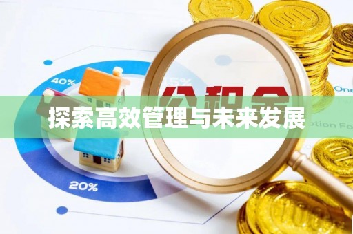 乐至探索高效管理与未来发展