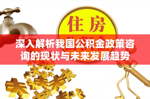 乐至深入解析我国公积金政策咨询的现状与未来发展趋势