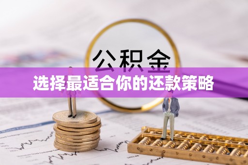 乐至选择最适合你的还款策略