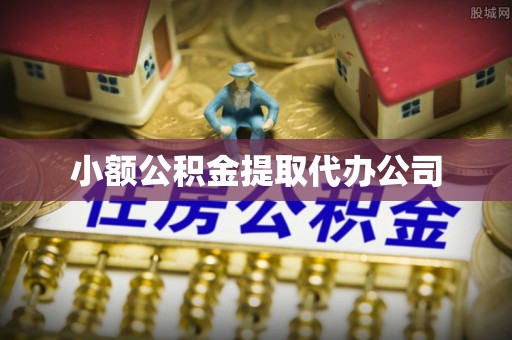 乐至小额公积金提取代办公司