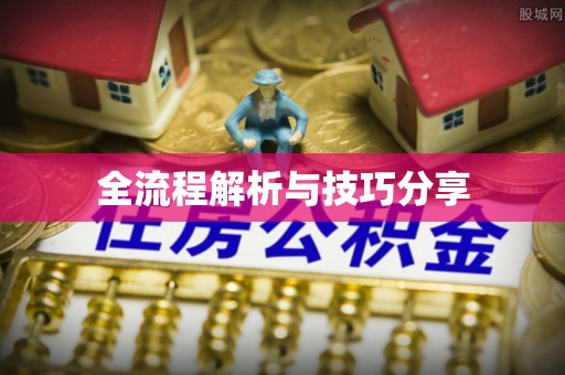 乐至全流程解析与技巧分享