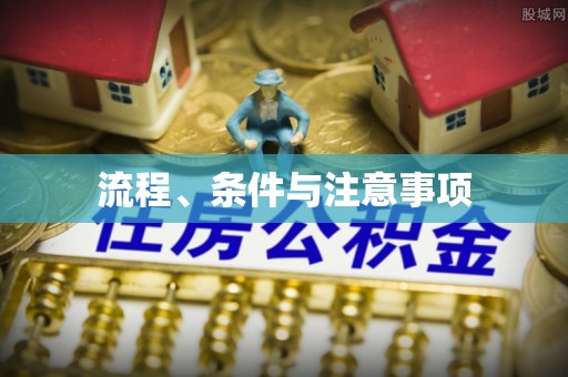 乐至流程、条件与注意事项